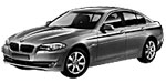 BMW F10 P103C Fault Code